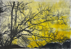 Bild des Monats August Gerda